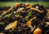 Nachhaltige Gartenpraxis